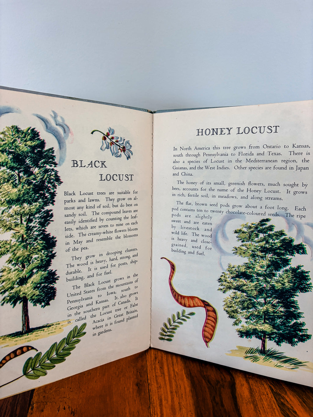Vintage Trees Book