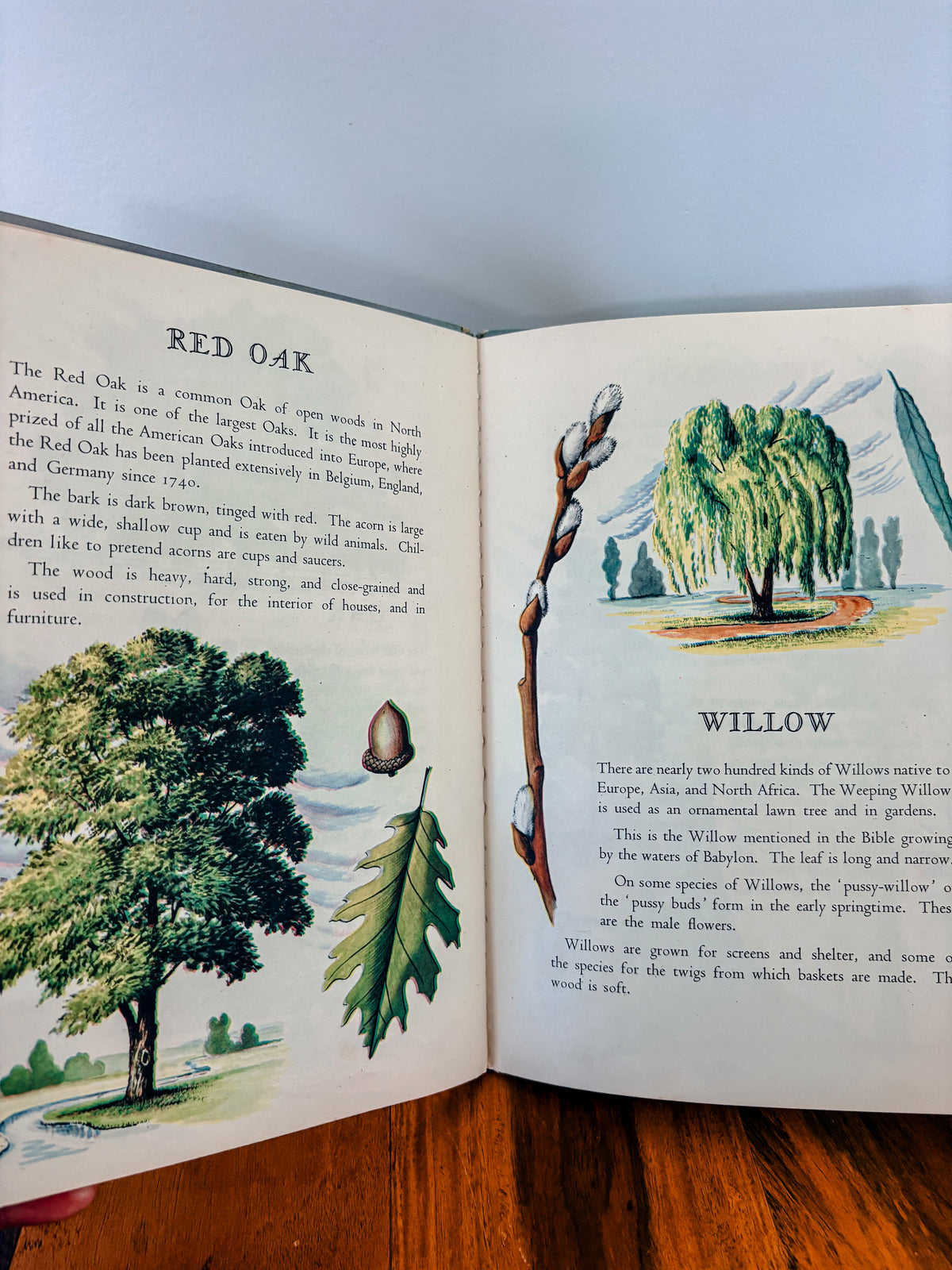 Vintage Trees Book