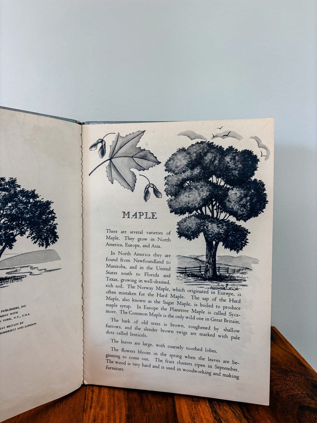 Vintage Trees Book