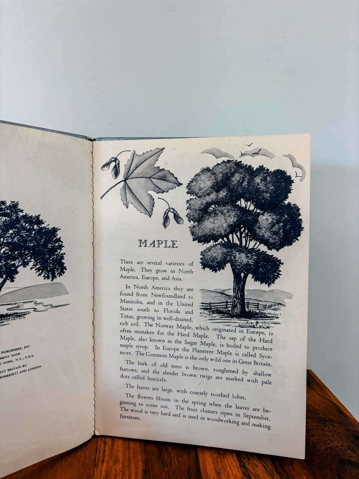 Vintage Trees Book