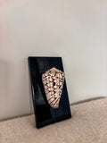 Marble Cone Shell on Glass