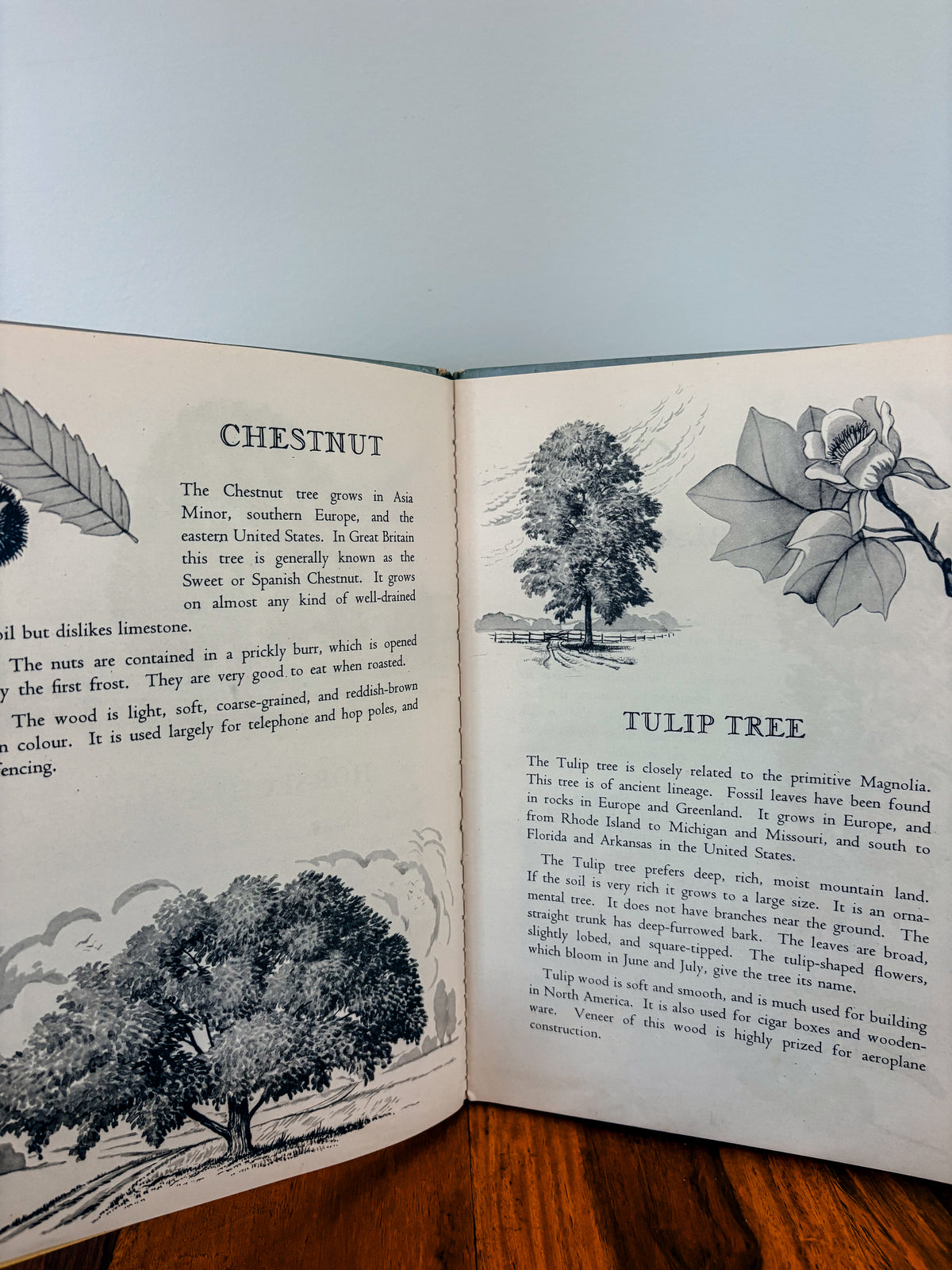 Vintage Trees Book