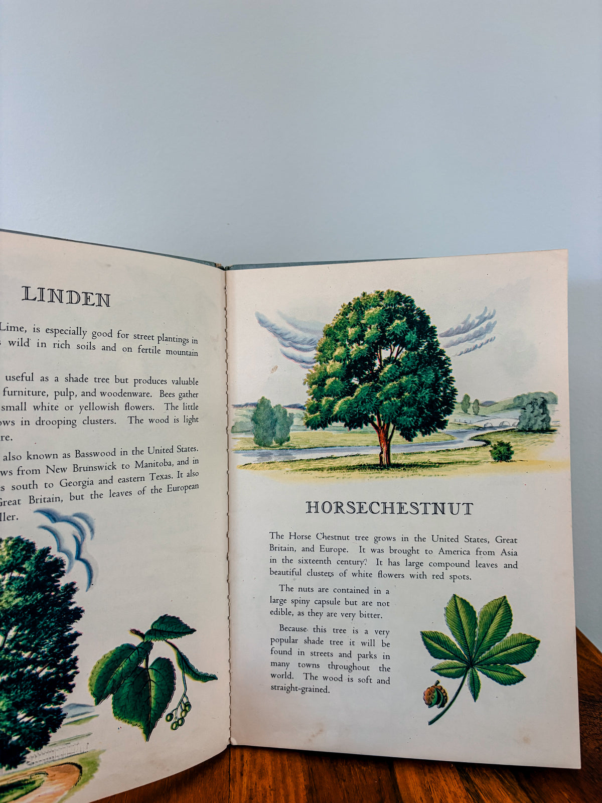 Vintage Trees Book