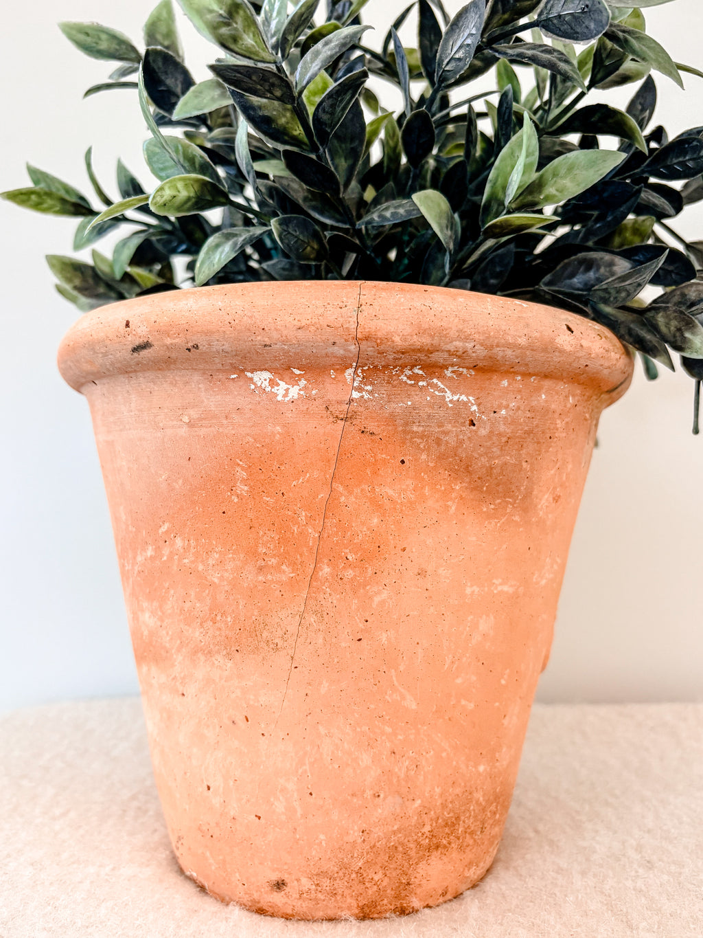 Vintage Teddy Terracotta Pot