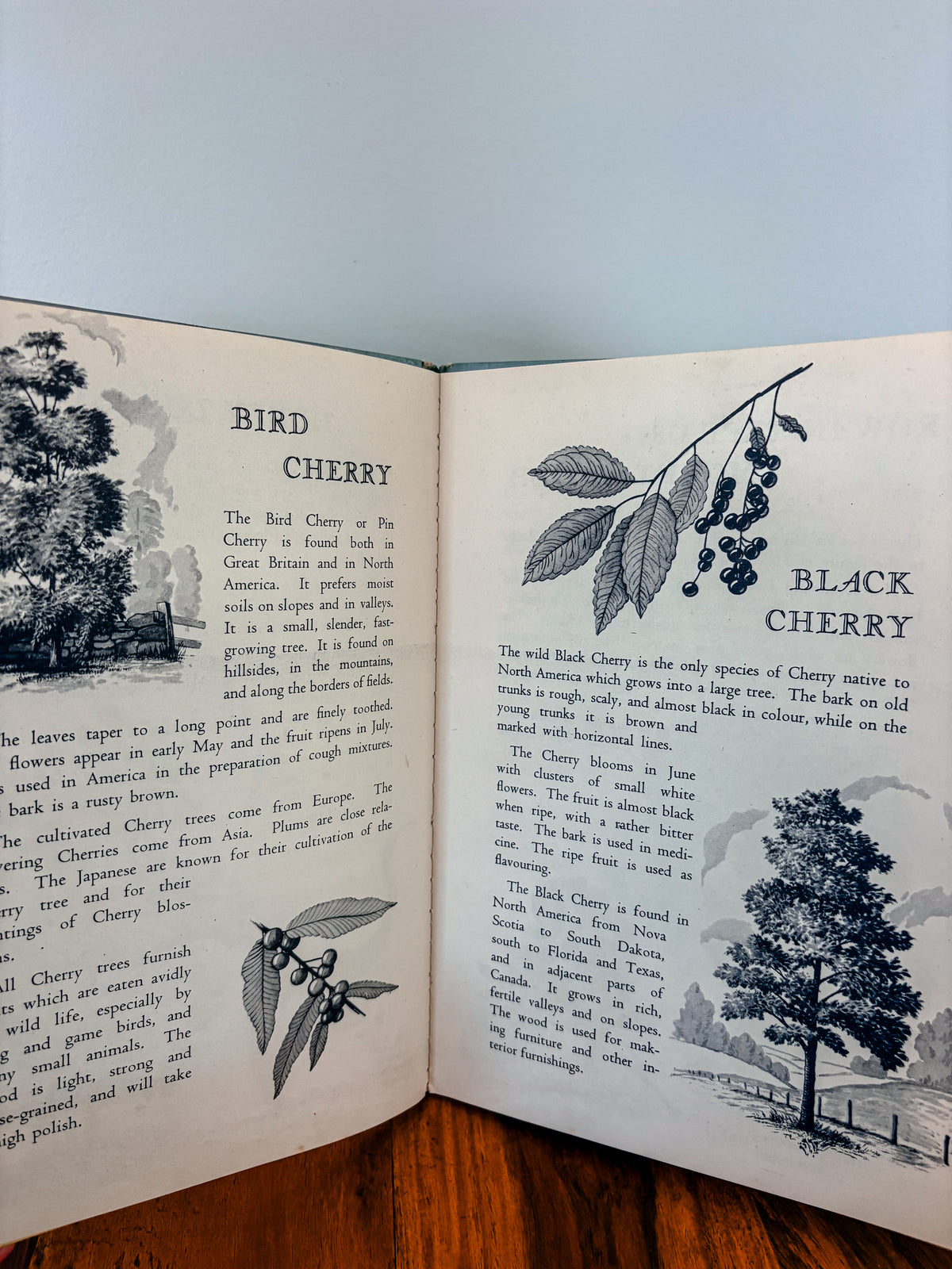 Vintage Trees Book