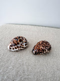 Medium Tiger Cowrie Shell